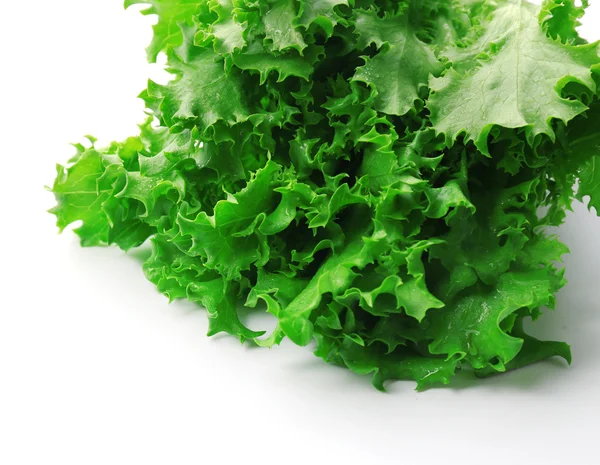 Hojas de lechuga fresca aisladas en blanco — Foto de Stock