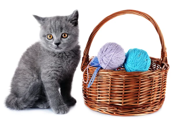 Cute gray kitten and wicker basket with skeins of thread isolated on white — Stock Photo, Image