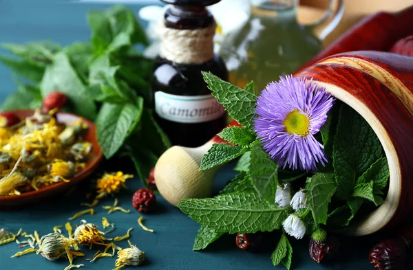 Örter, bär och blommor på träbord färgbakgrund — Stockfoto