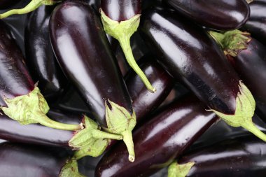 Taze patlıcan yığını yakında.