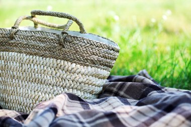 Hasır sepet ve ekose yeşil çimenlerin üzerinde piknik için