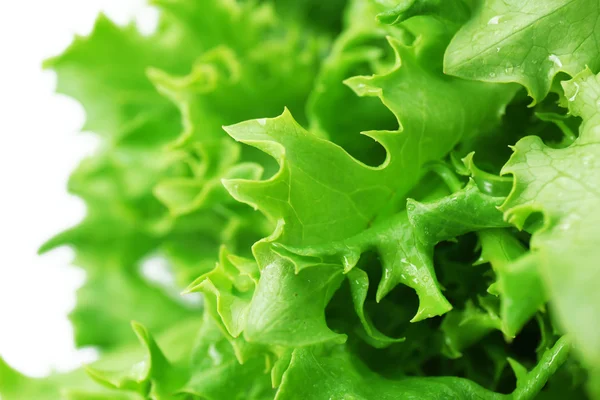 Fresh lettuce leaves, closeup — Stock Photo, Image