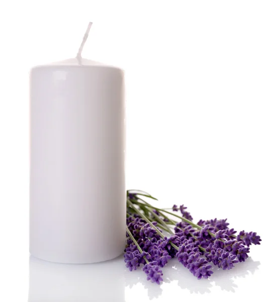 Lavendel bloemen met kaars geïsoleerd op wit — Stockfoto