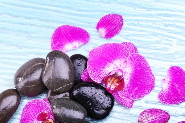 Violet orkidé och zen stenar närbild — Stockfoto
