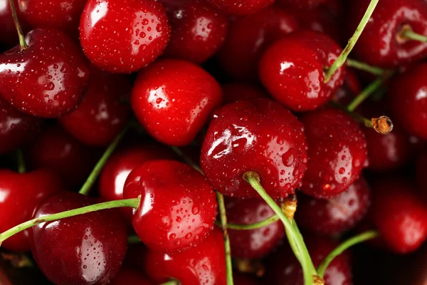 Wet fresh cherries, closeup — Stock Photo, Image