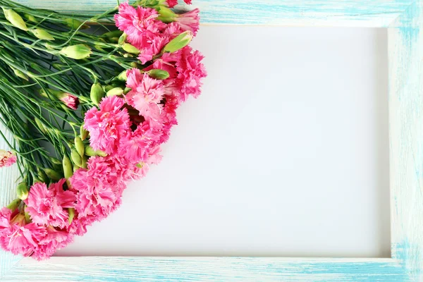 Mooi boeket van roze anjer met houten frame geïsoleerd op wit — Stockfoto