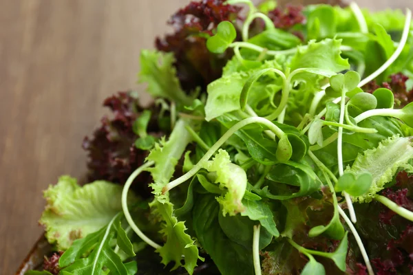 Friss vegyes zöld saláta tál közelről — Stock Fotó