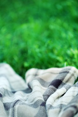 Yeşil çimenlerin üzerinde piknik için şal