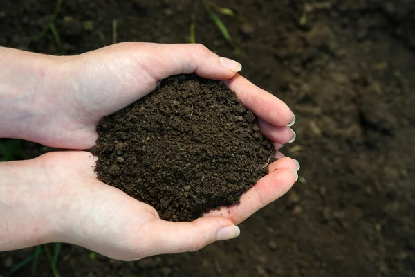 Una manciata di terra nera fuori terra — Foto Stock