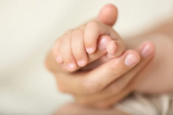 성인 및 아기 손, 근접 촬영 — 스톡 사진