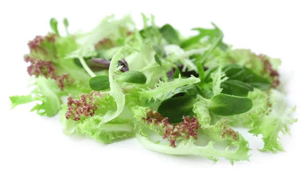 Salade verte fraîche mélangée isolée sur blanc — Photo