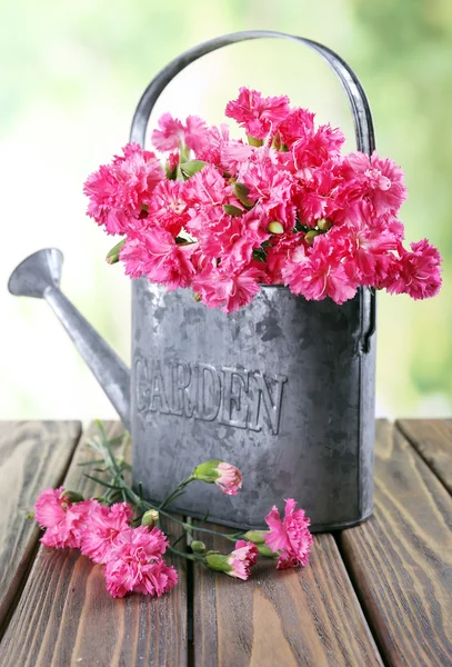 Mooi boeket van roze anjer — Stockfoto