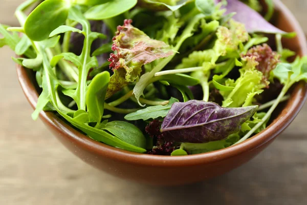 Salada verde mista fresca — Fotografia de Stock