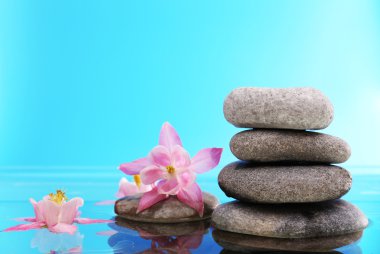 spa taş yığını