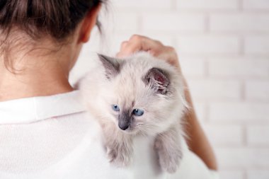 genç bir kadın tutarak kedi