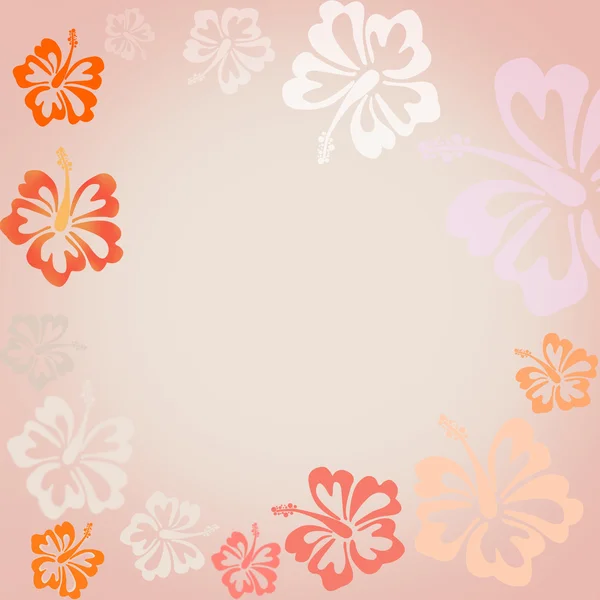 Hibiscus flowers on pink background shaped as frame with space for your text — Stock Photo, Image