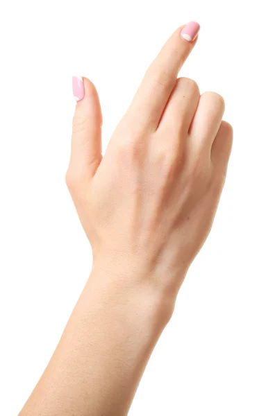 Kvindelig hånd isoleret på hvid - Stock-foto