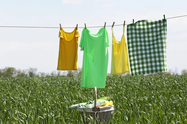 Línea de lavandería con ropa en campo de primavera —  Fotos de Stock