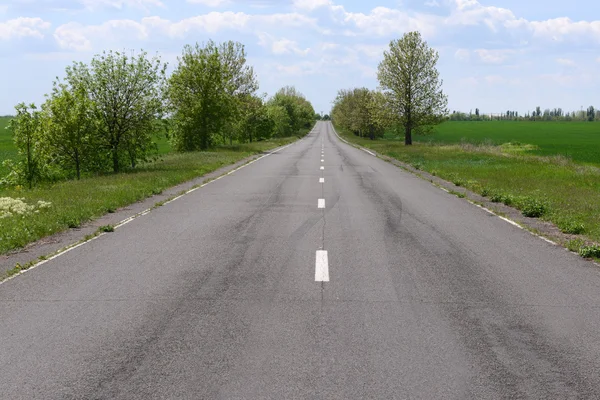 Bahar günü yeşil alanı ile asfalt yol — Stok fotoğraf