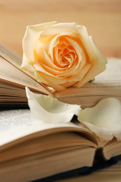 Rose fresche con vecchi libri — Foto Stock