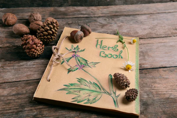 Oud boek met kegels en noten op tafel close-up — Stockfoto