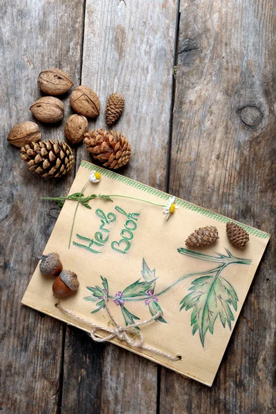 Old book with cones and nuts on table close up — Stock Photo, Image