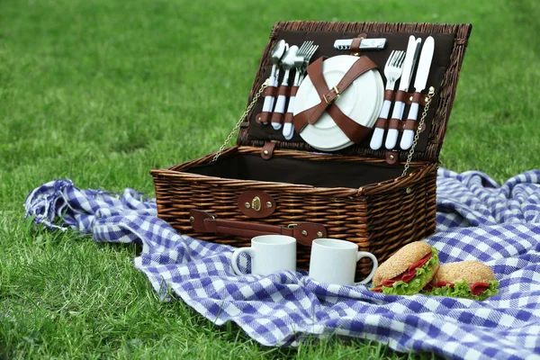 Rieten picknickmand, smakelijke sandwiches, thee cups en plaid op groen gras, buitenshuis — Stockfoto
