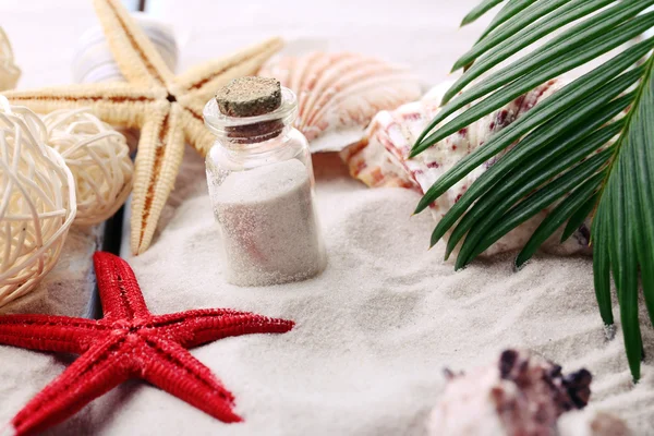 Beautiful seashells on sand background — Stock Photo, Image