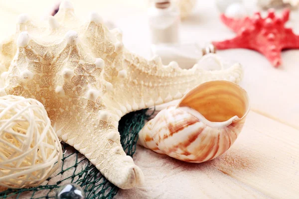Bela composição do mar com conchas em fundo de madeira — Fotografia de Stock