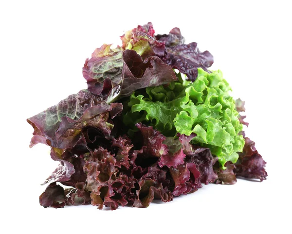 Bunch of lettuce isolated on white — Stock Photo, Image