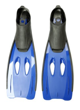 Palet üzerinde beyaz izole çifti