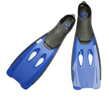 Palet üzerinde beyaz izole çifti