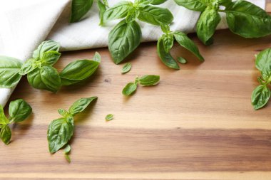 Yeşil taze fesleğen