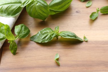 Yeşil taze fesleğen