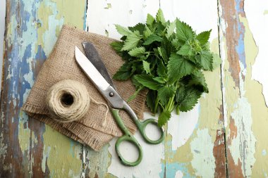 Oğul otu yaprakları