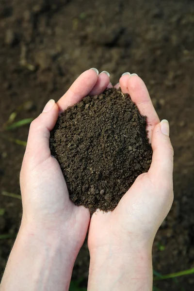 Una manciata di terra nera fuori terra — Foto Stock