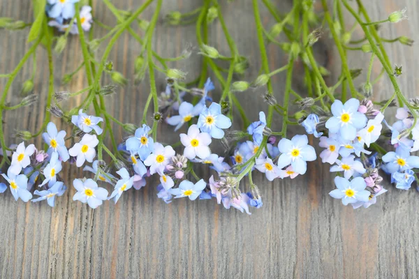 Esqueça-me-não flores na mesa de madeira — Fotografia de Stock