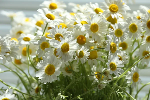 Schöner Strauß Gänseblümchen — Stockfoto