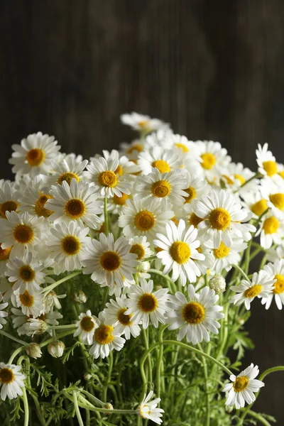 Mooi boeket van madeliefjes — Stockfoto