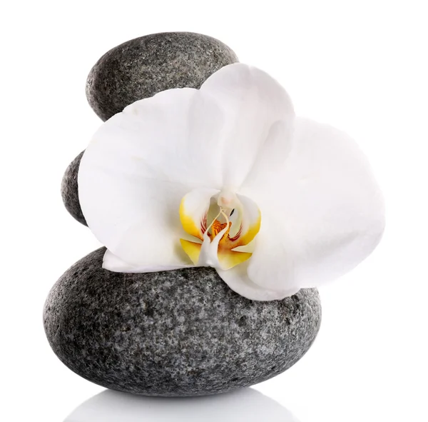 Stack of spa stones — Stock Photo, Image