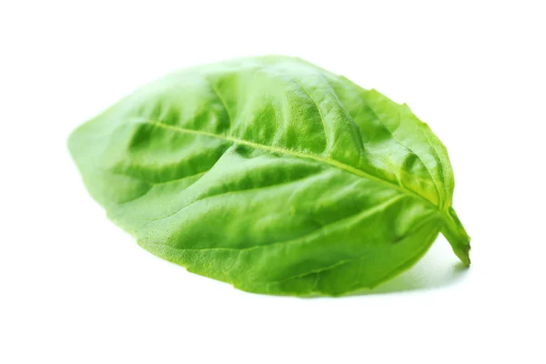 Green fresh basil — Stock Photo, Image