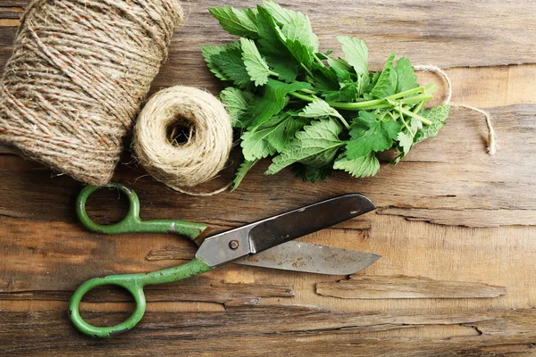 Leaves of lemon balm — Stock Photo, Image