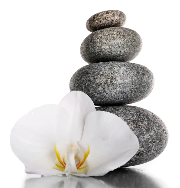 Stack of spa stones Stock Image