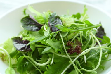 Kase taze karışık yeşil salata yakın çekim