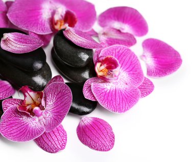 Mor orkide ve zen taşlar