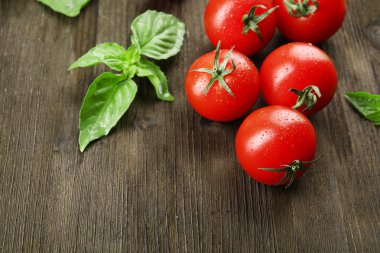 taze domates fesleğen ile