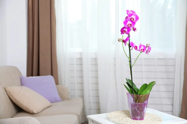 Güzel Lila orkide — Stok fotoğraf