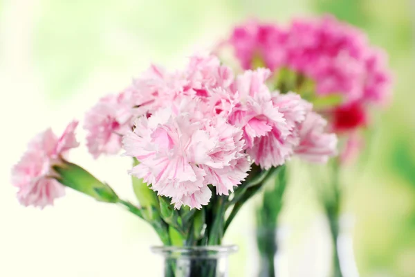 Vacker bukett rosa nejlika i vaser på nära håll — Stockfoto