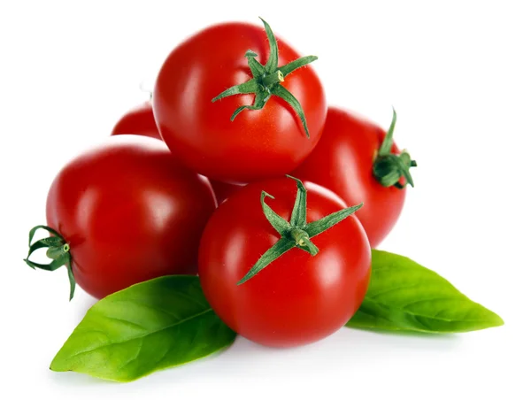 Черри помидоры с базиликом изолированы на белом — стоковое фото