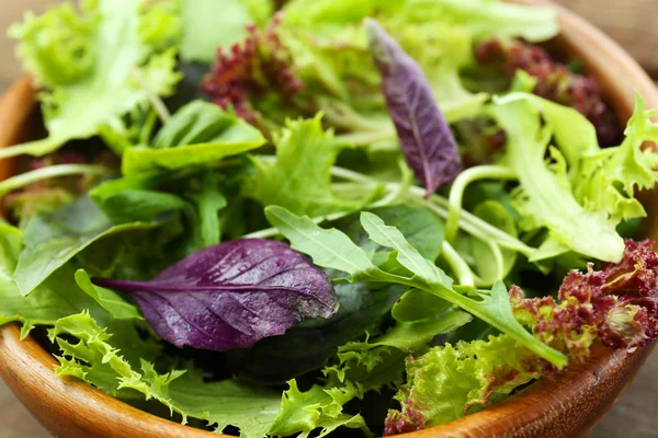 Salada verde mista fresca na tigela de perto — Fotografia de Stock